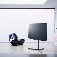 Loewe Bild 7