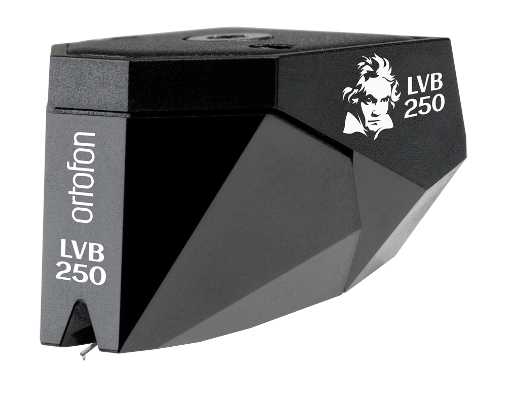 Specifications 2M Black LVB 250