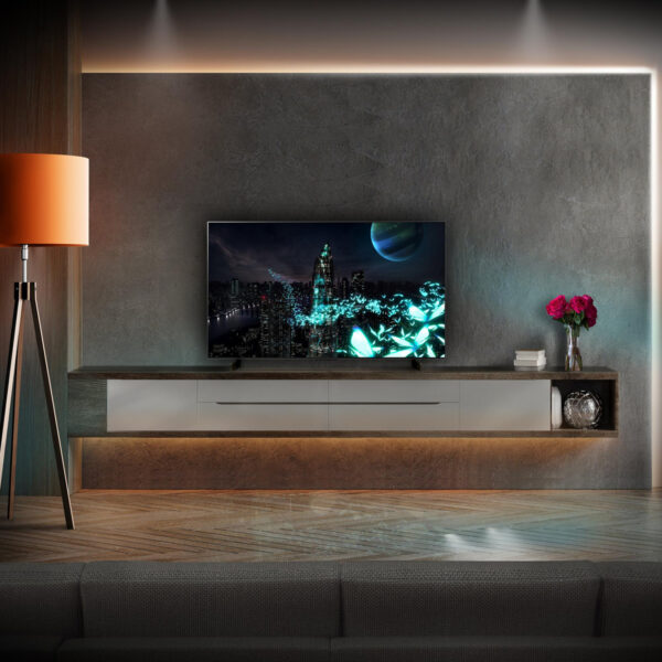 LG 42 OLED TV