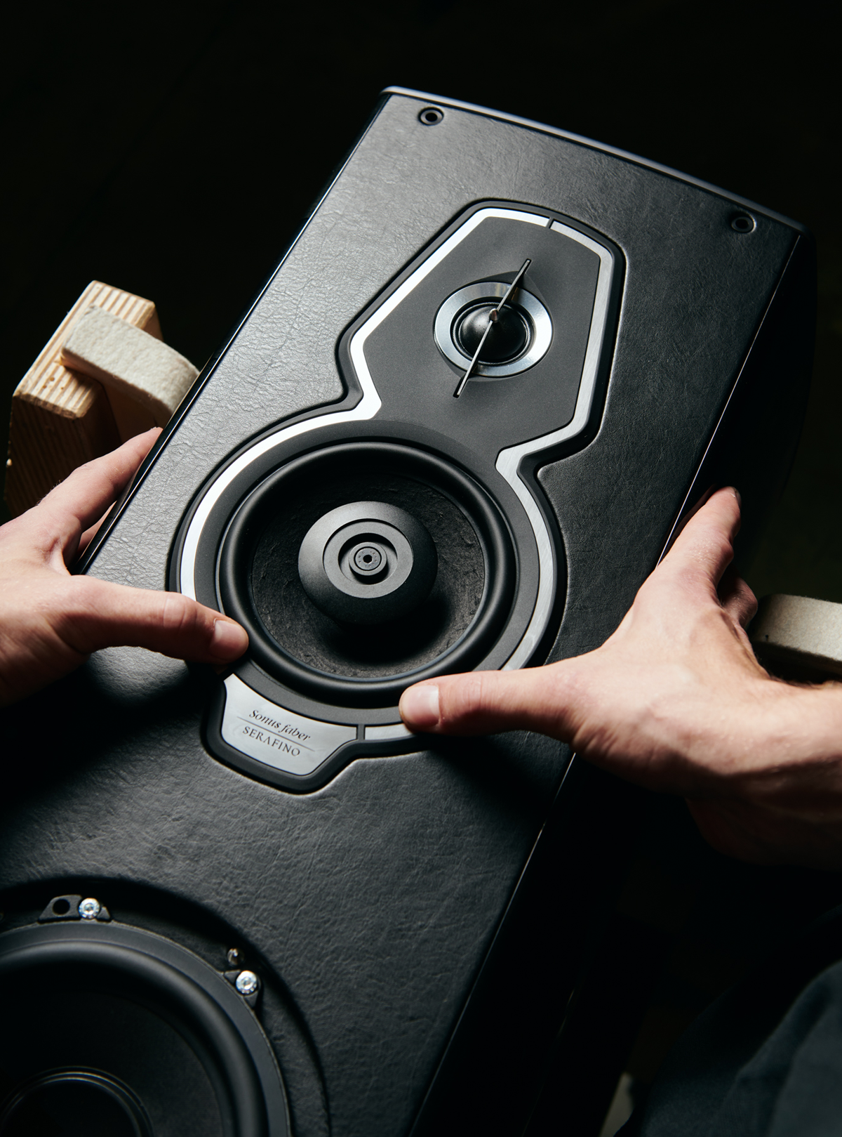 Sonus faber surround