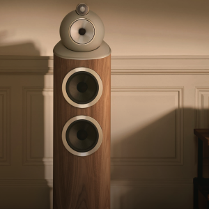 Bowers & Wilkins 803 D5