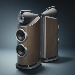 Bowers & Wilkins 801 D5