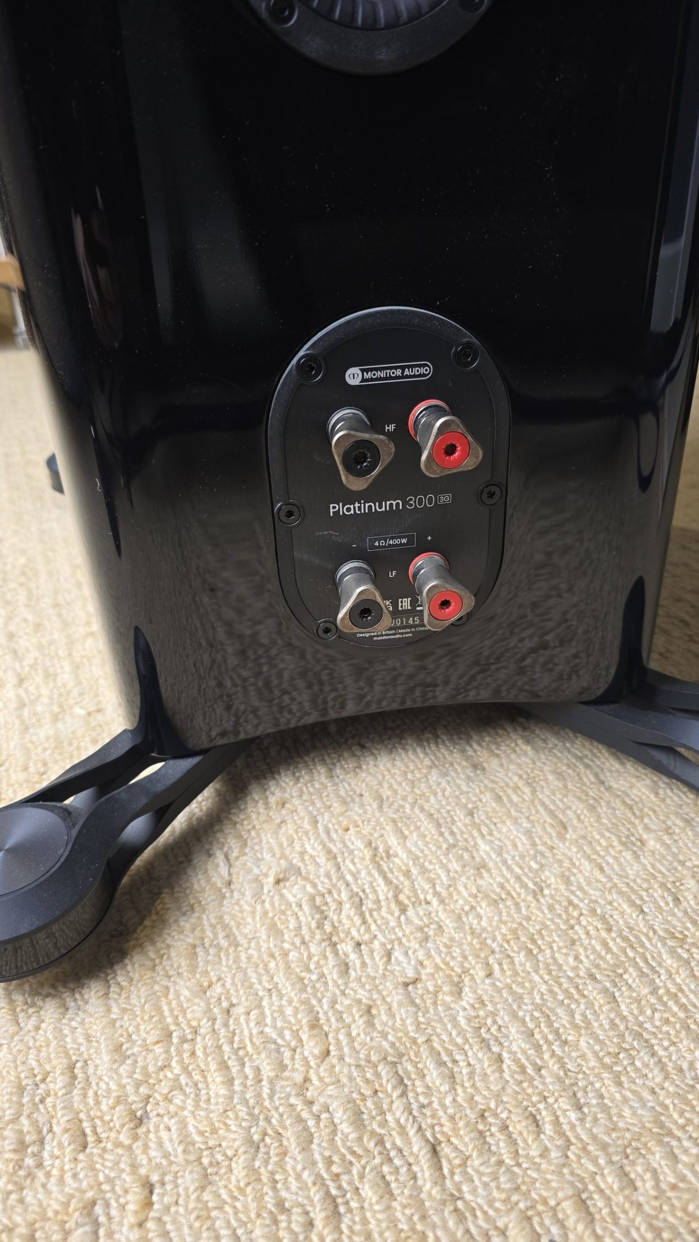 PL300 rear panel
